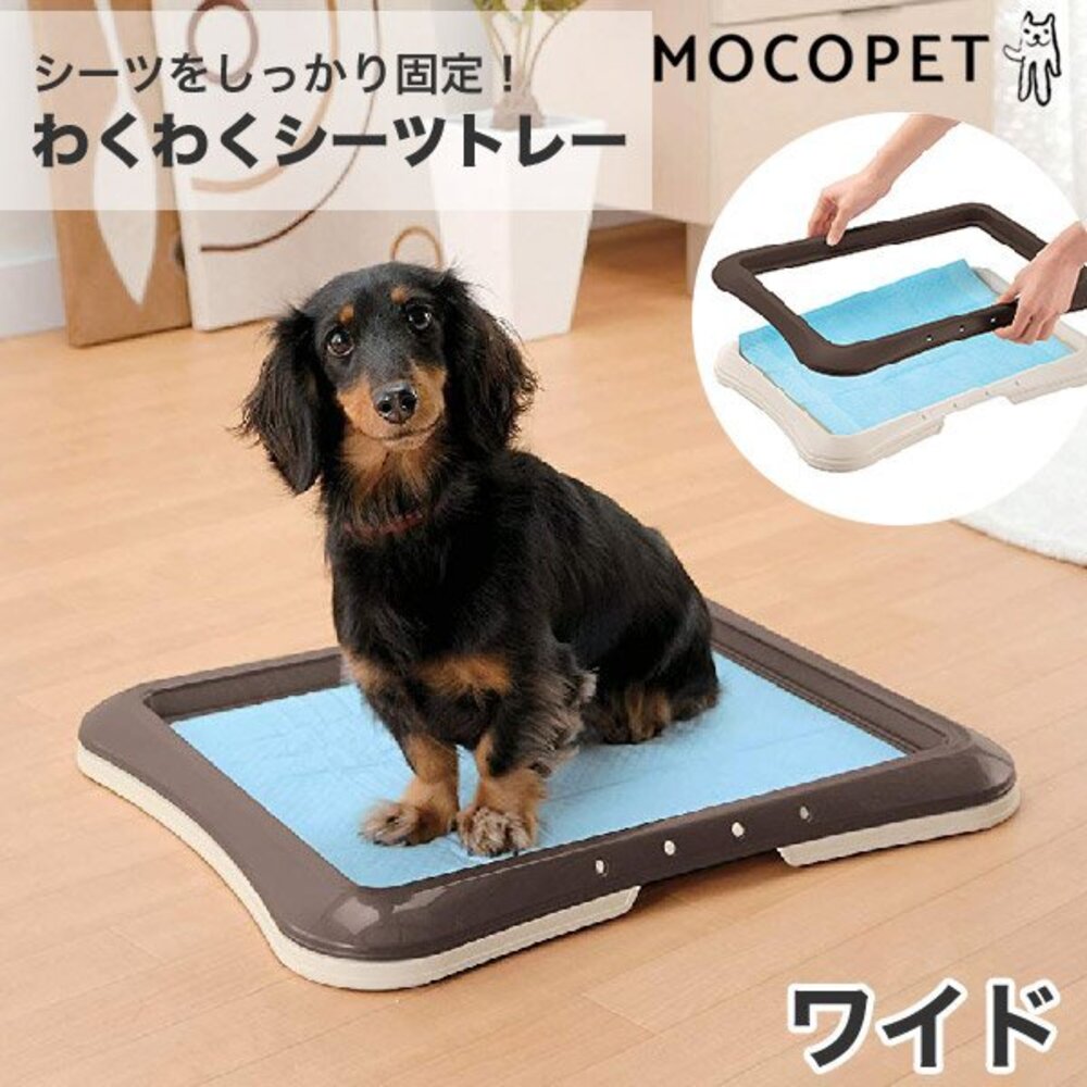 Richell 犬用平面便盆 狗用尿尿柱 平面網狀便盆 加寬型 狗便盆 狗尿盆 寵物便盆『WANG』-圖片-2