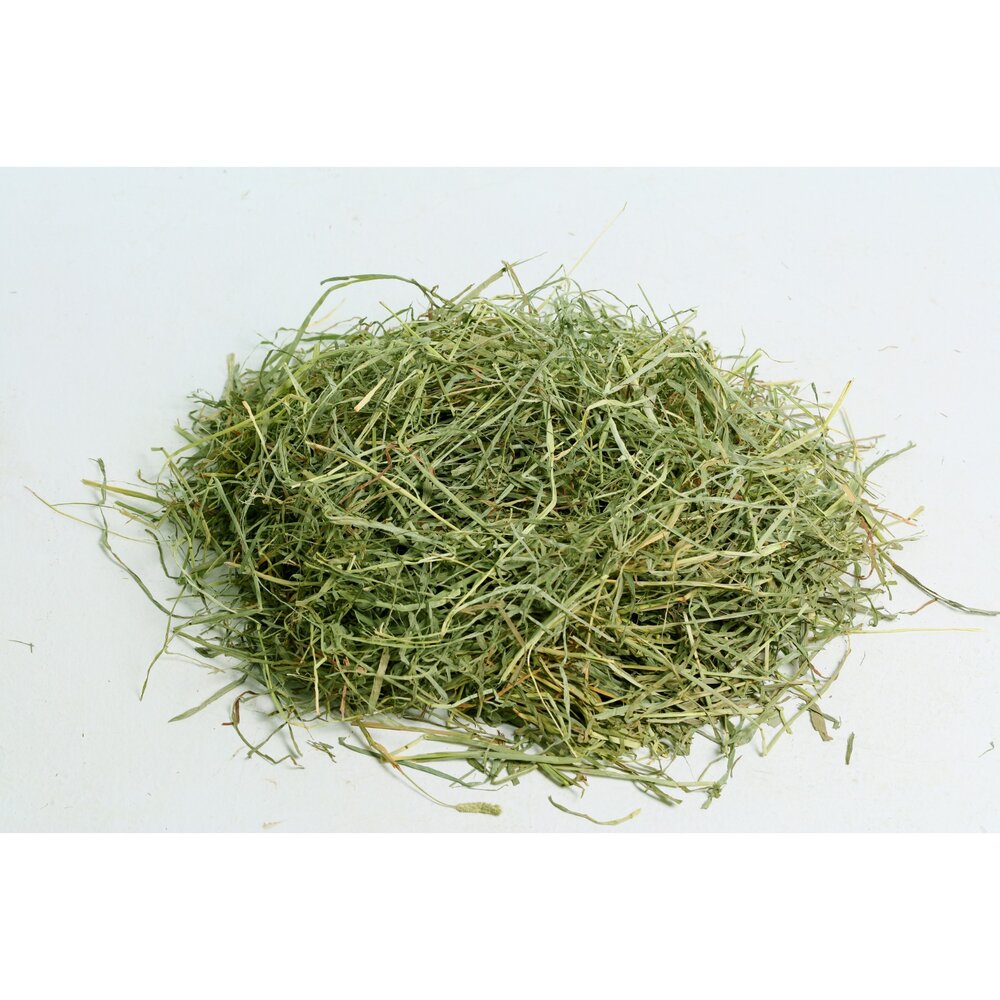 美國 摩米 MOMI 美國特級 提摩西草 500g 1kg 第一割 第二割 磨牙 兔子牧草 成兔 天竺鼠『WANG』-圖片-2