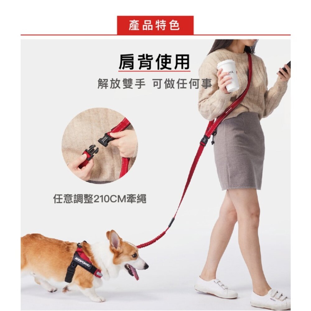EZYDOG 跑步牽繩 輕巧版跑步牽繩 210cm 不費力 狗狗不拉傷 肩背繫腰免手牽 寵物牽繩 外出拉繩『WANG』-圖片-3