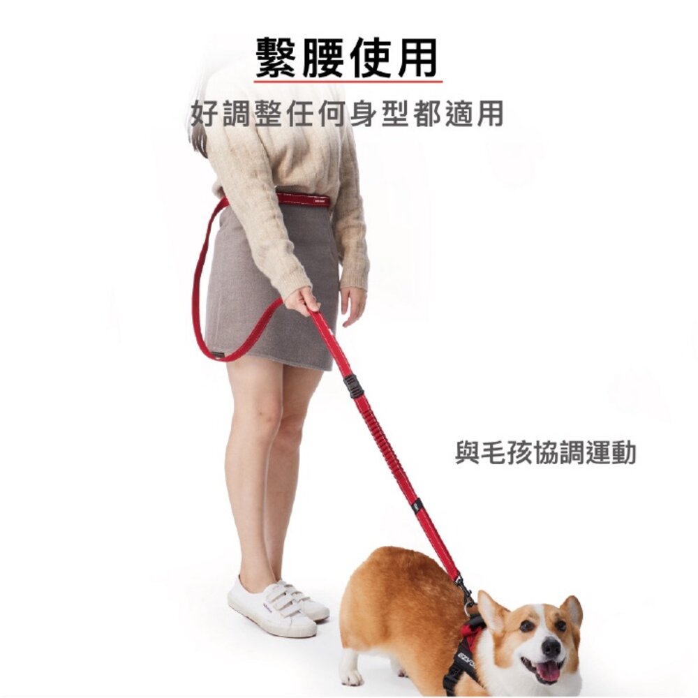 EZYDOG 跑步牽繩 輕巧版跑步牽繩 210cm 不費力 狗狗不拉傷 肩背繫腰免手牽 寵物牽繩 外出拉繩『WANG』-圖片-4
