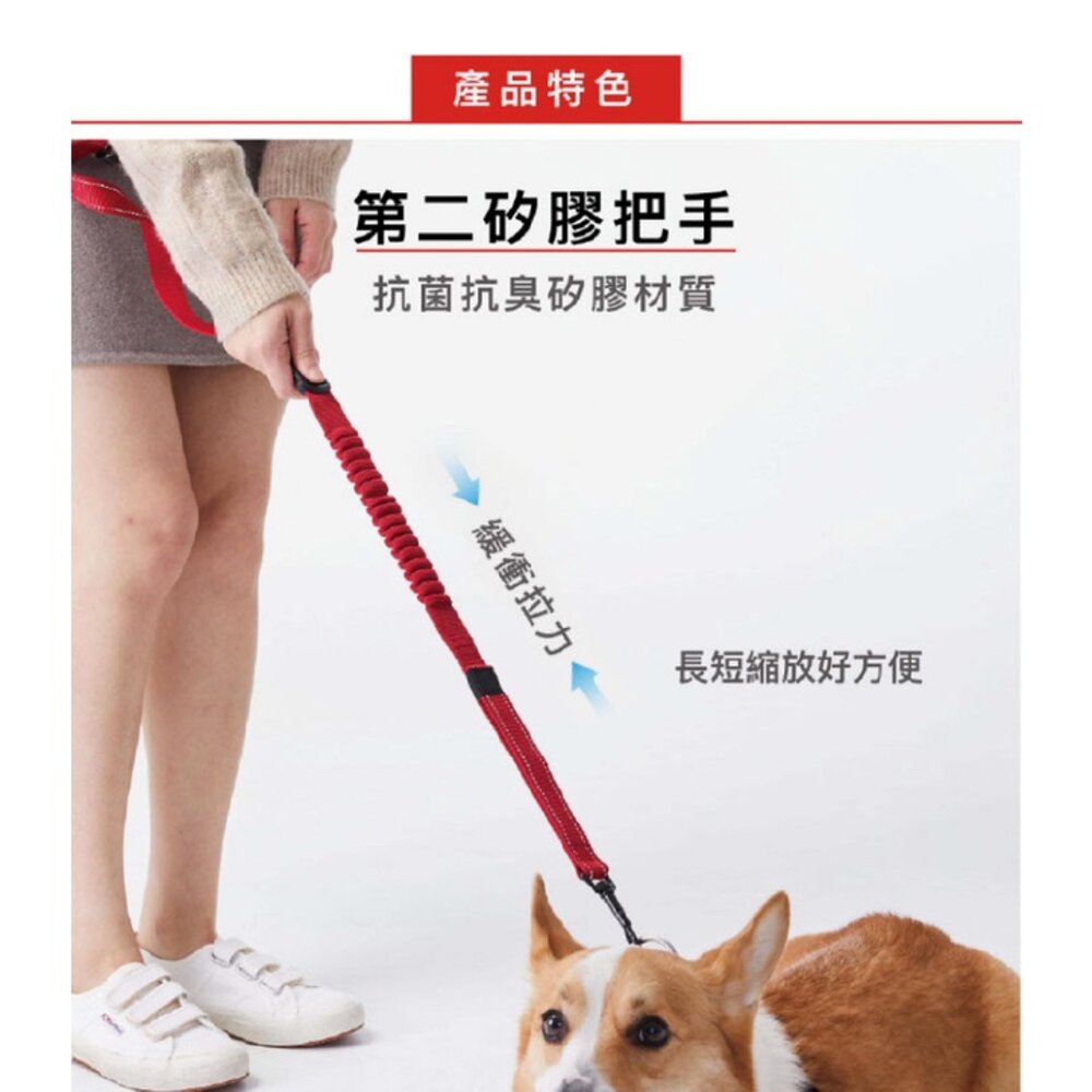 EZYDOG 跑步牽繩 輕巧版跑步牽繩 210cm 不費力 狗狗不拉傷 肩背繫腰免手牽 寵物牽繩 外出拉繩『WANG』-圖片-6