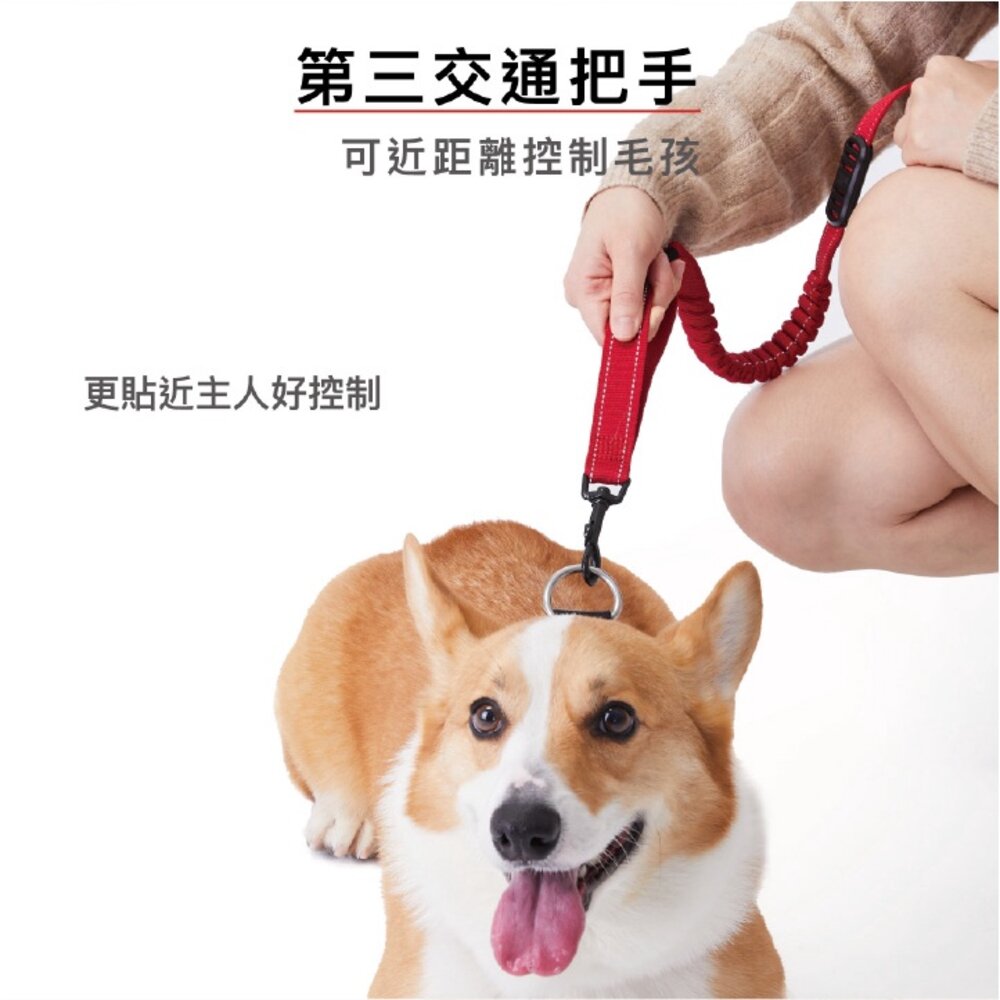EZYDOG 跑步牽繩 輕巧版跑步牽繩 210cm 不費力 狗狗不拉傷 肩背繫腰免手牽 寵物牽繩 外出拉繩『WANG』-圖片-7