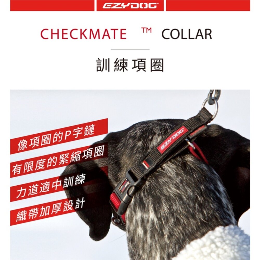 EZYDOG 訓練項圈 S-XL號 反光設計 加厚尼龍織帶 P字項圈 犬用 項圈 頸圈 狗項圈 外出用品『WANG』-圖片-2