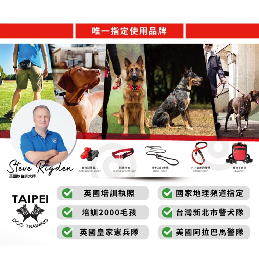 EZYDOG 訓練項圈 S-XL號 反光設計 加厚尼龍織帶 P字項圈 犬用 項圈 頸圈 狗項圈 外出用品『WANG』-圖片-3