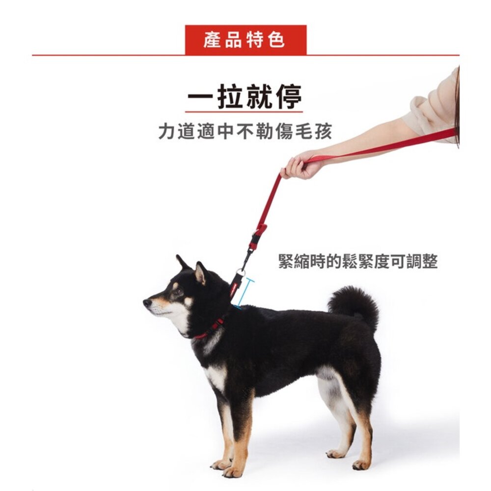 EZYDOG 訓練項圈 S-XL號 反光設計 加厚尼龍織帶 P字項圈 犬用 項圈 頸圈 狗項圈 外出用品『WANG』-圖片-4