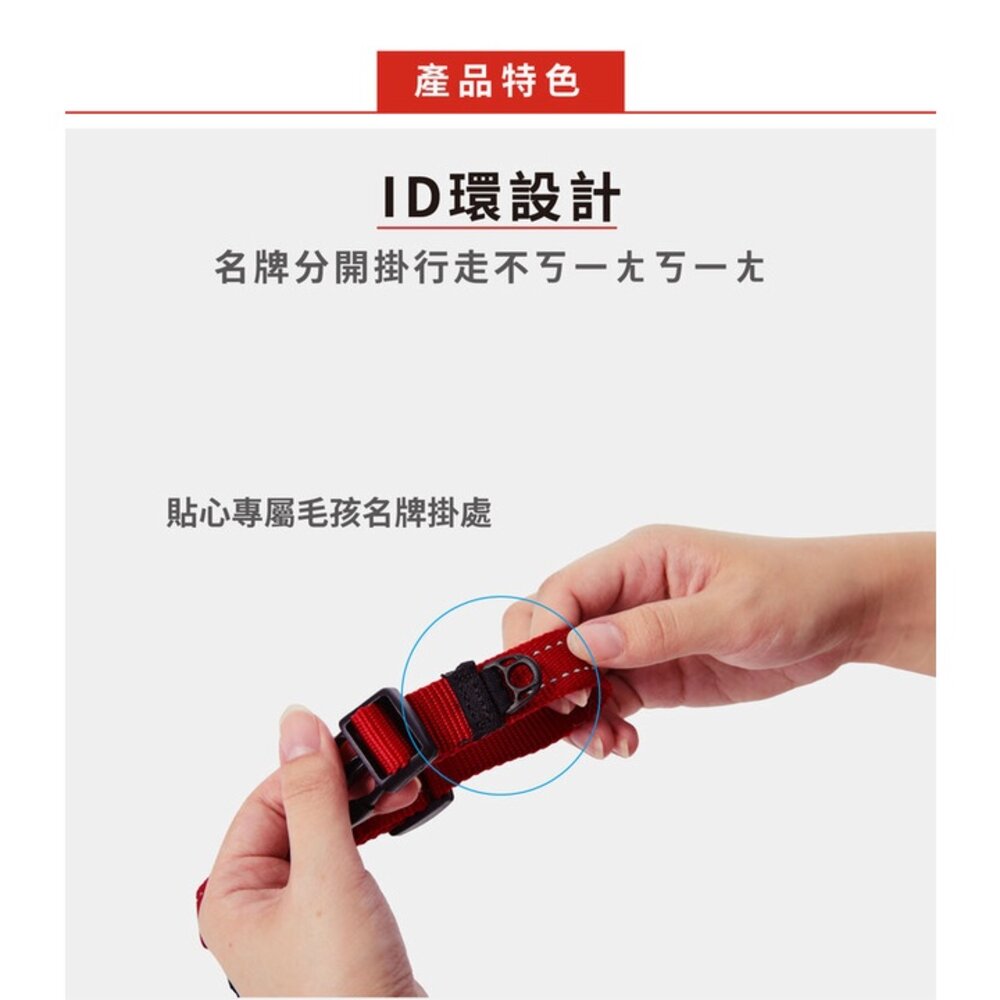 EZYDOG 訓練項圈 S-XL號 獨立ID環 反光設計 柔軟尼龍織帶 狗項圈 犬用『WANG』-圖片-6