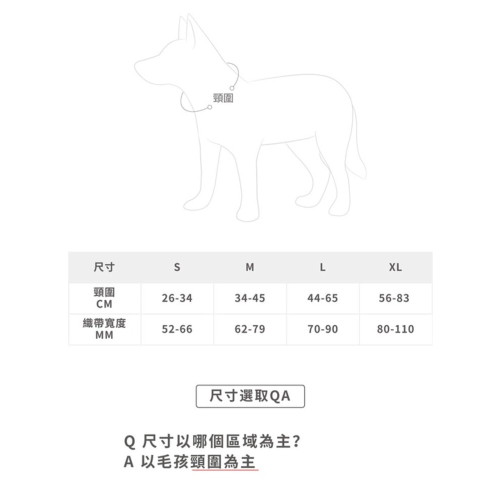 EZYDOG 訓練項圈 S-XL號 反光設計 加厚尼龍織帶 P字項圈 犬用 項圈 頸圈 狗項圈 外出用品『WANG』-圖片-8