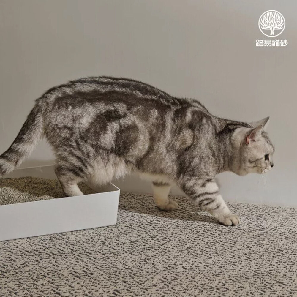 路易 LOUIS | 室內消臭純砂 88%高纖豆腐砂6L【整箱組】添加4種礦砂 超低粉塵 吸水除臭 貓砂『WANG』-圖片-4