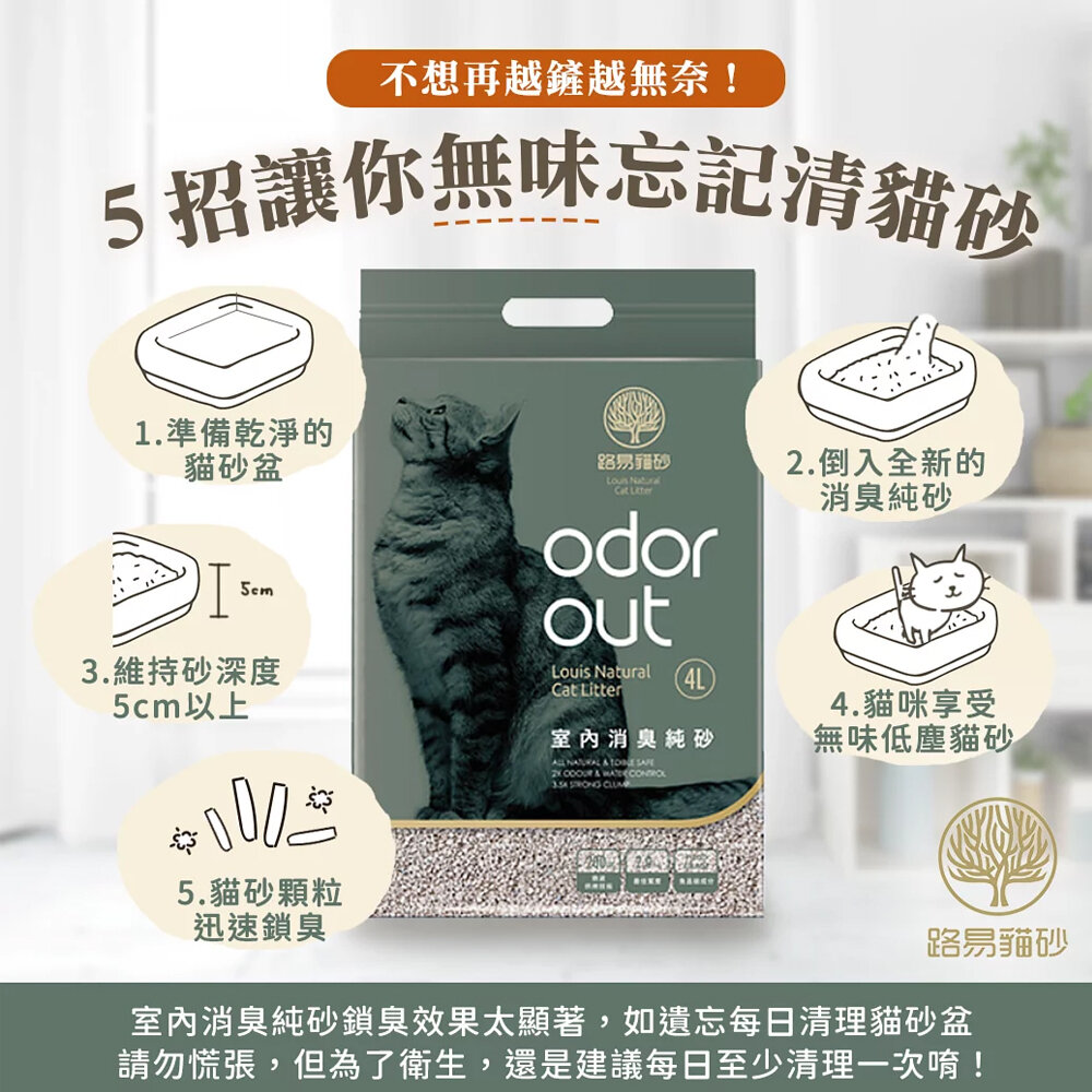 路易 LOUIS | 室內消臭純砂 88%高纖豆腐砂6L【整箱組】添加4種礦砂 超低粉塵 吸水除臭 貓砂『WANG』-圖片-6