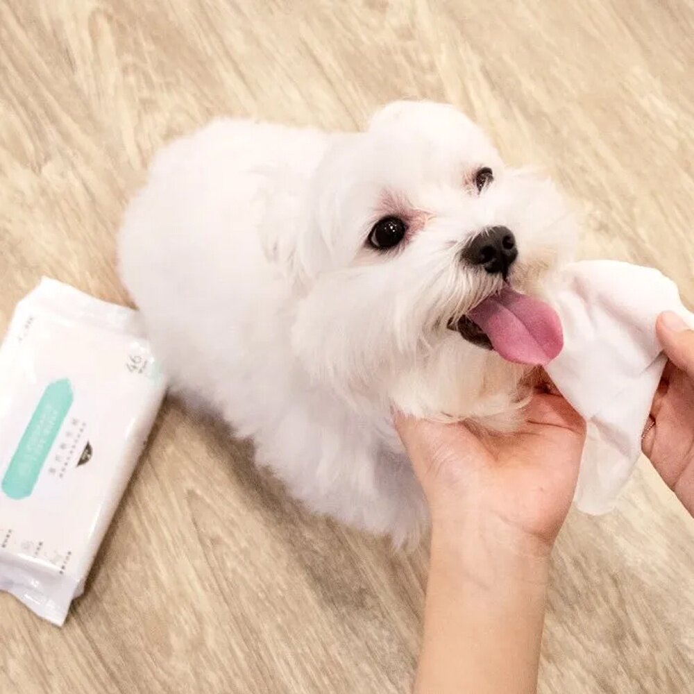 DogCatStar 汪喵星球 濕式衛生紙 12抽 46抽 寵物濕紙巾 毛孩專屬濕式衛生紙 好撕 可沖馬桶『WANG』-圖片-4