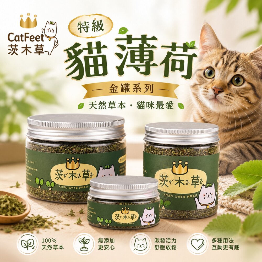 19286207609-CatFeet 茨木草 特級貓薄荷 金罐 小罐/大罐 粗細葉貓草 貓薄荷 可撒在貓玩具抓板上 貓零食『WANG』