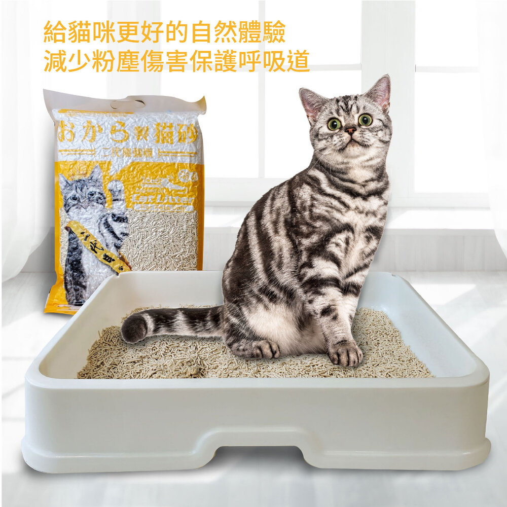 icat 寵喵樂 環保天然豆腐砂 6L【單包】扎實的凝結力 省時省力 豆腐砂 貓砂『WANG』-圖片-3