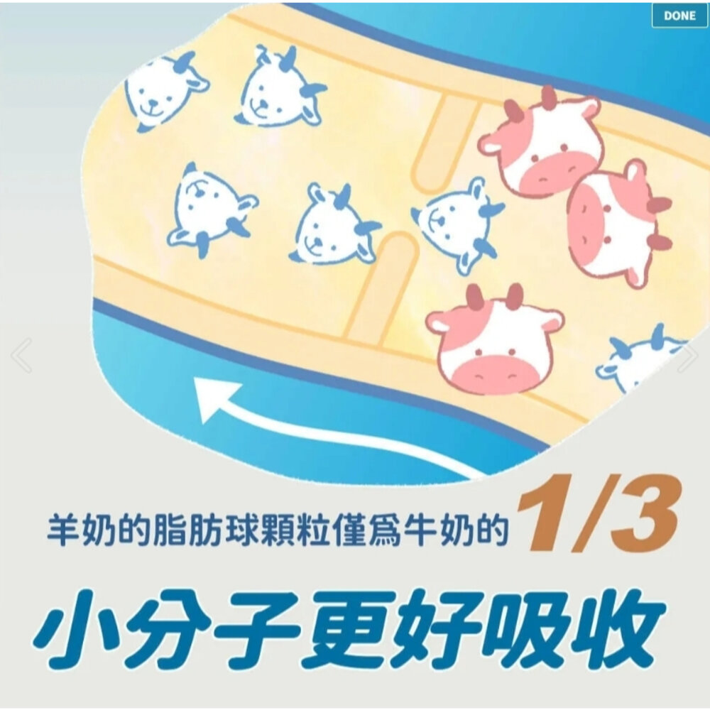 BLUE BAY 倍力 犬貓奶粉 頂級羊奶粉 貓寶樂 幼貓專業代奶 易沖泡 易消化 寵物奶粉 『WANG』-圖片-3