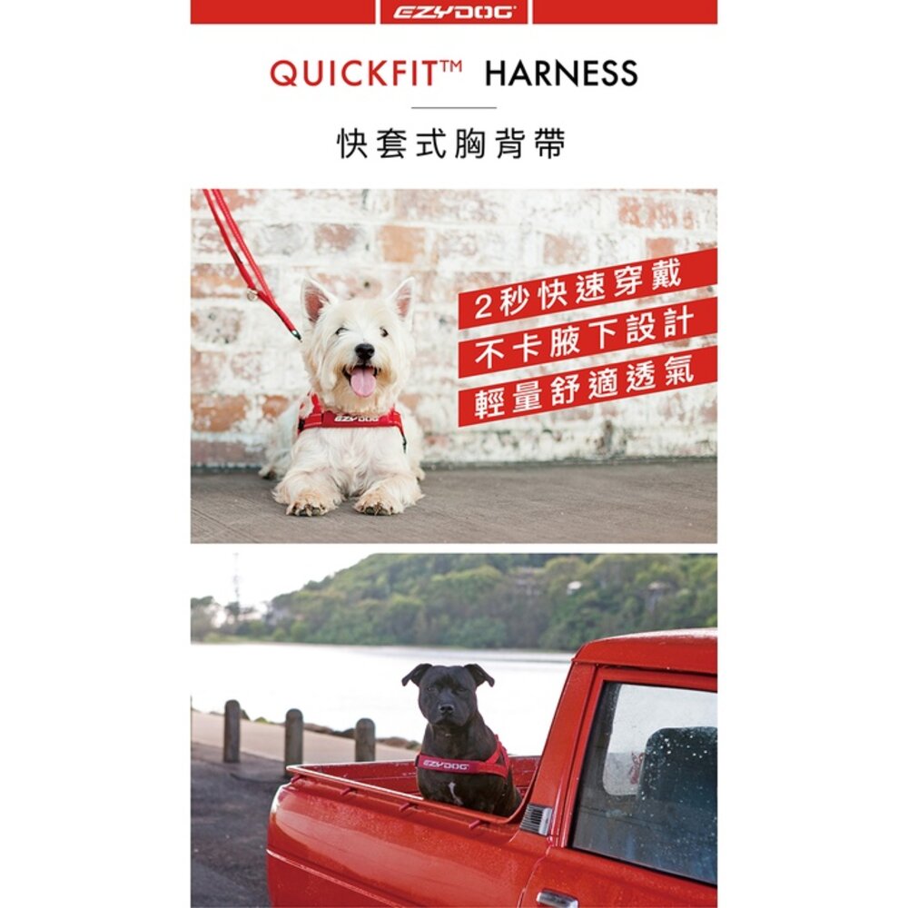 EZYDOG 快套式胸背帶 XS-XL號 適合好動不喜歡穿胸背帶的狗狗 狗胸背帶 犬用『WANG』-圖片-2