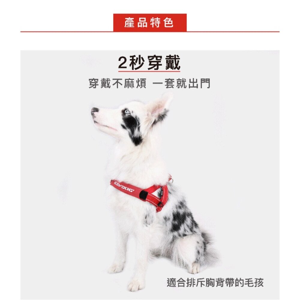 EZYDOG 快套式胸背帶 XS-XL號 適合好動不喜歡穿胸背帶的狗狗 狗胸背帶 犬用『WANG』-圖片-3