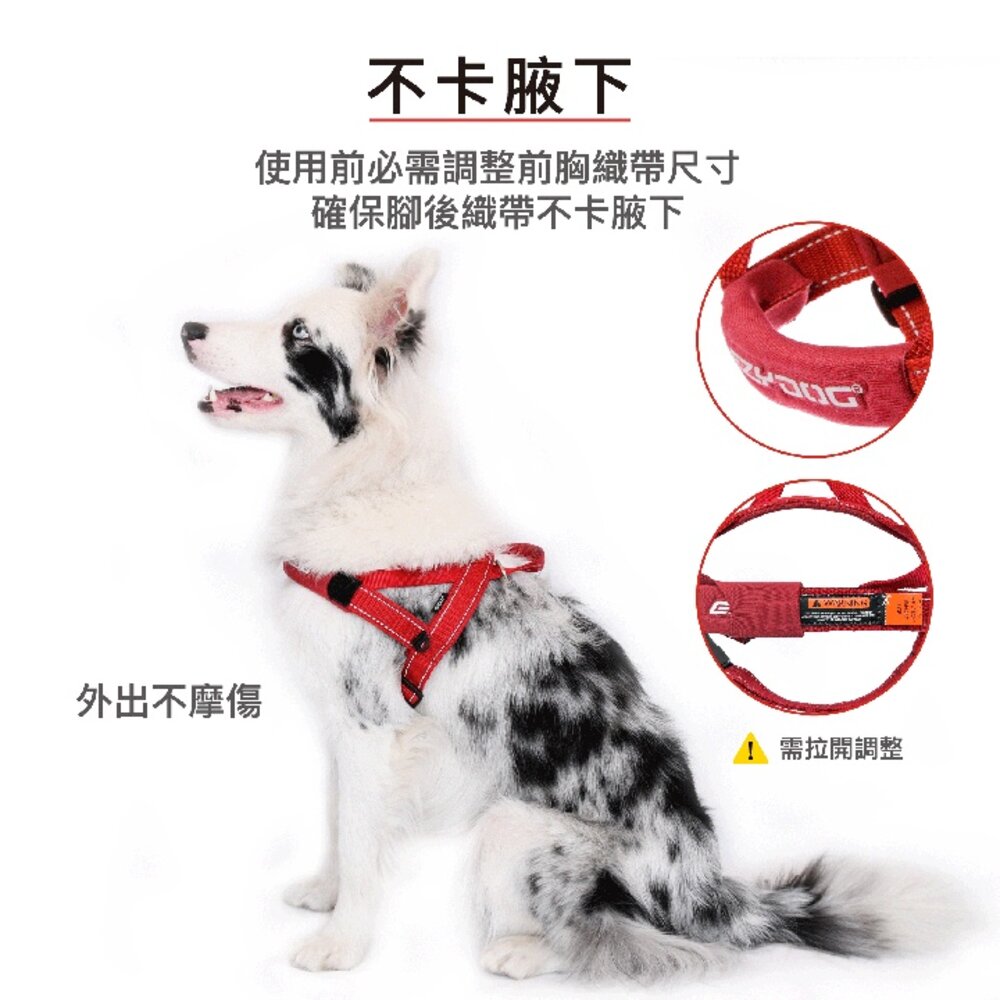 EZYDOG 快套式胸背帶 XS-XL號 適合好動不喜歡穿胸背帶的狗狗 狗胸背帶 犬用『WANG』-圖片-4