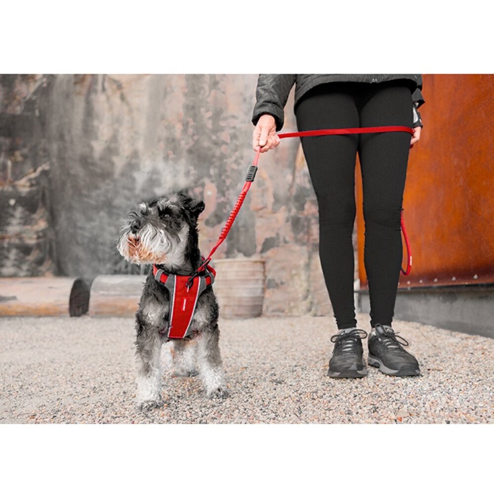 EZYDOG X減壓胸背帶 XS-XL號 不傷氣管 不易掙脫 適合暴衝狗和成長犬 狗胸背帶 犬用『WANG』-圖片-3