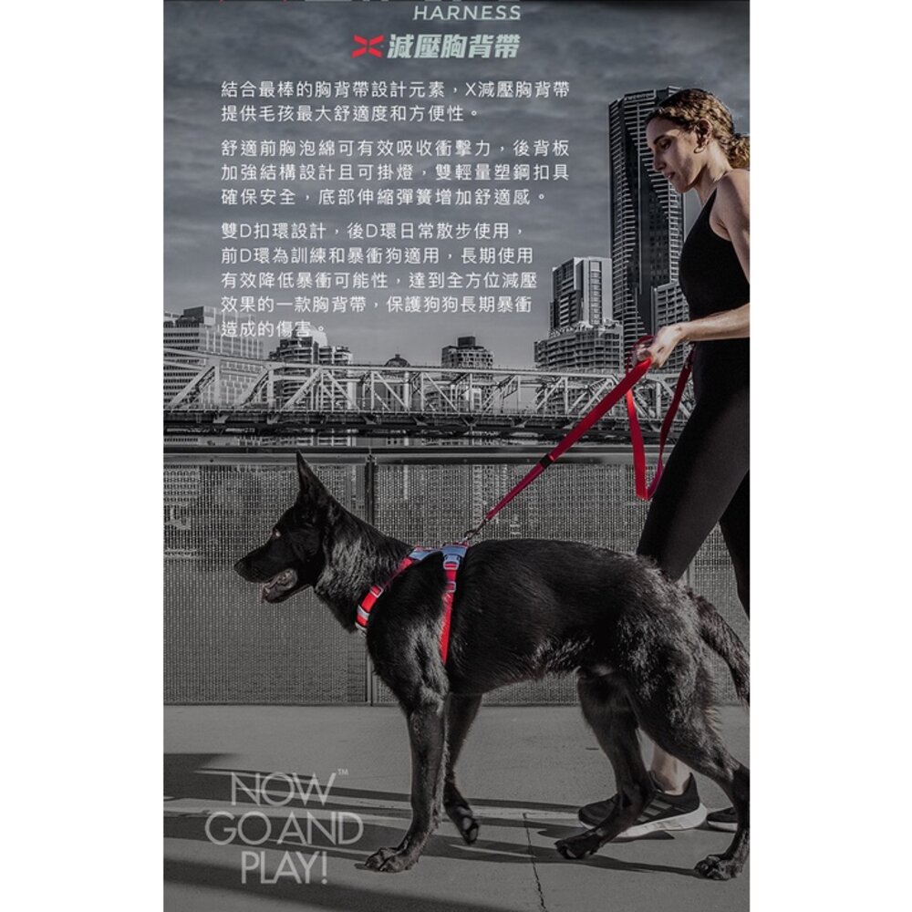 EZYDOG X減壓胸背帶 XS-XL號 不傷氣管 不易掙脫 適合暴衝狗和成長犬 狗胸背帶 犬用『WANG』-圖片-7
