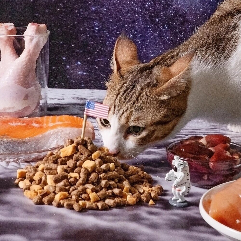 LitoMo 怪獸部落 貓用美國太空凍乾生肉糧 140g 生肉糧 凍乾主食 主食貓糧 貓乾糧 貓主食 貓飼料『WANG』-圖片-5
