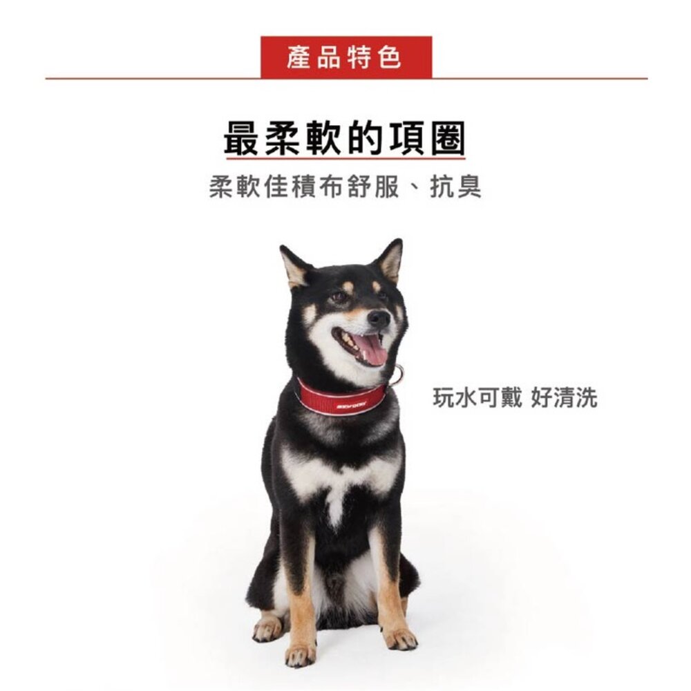 EZYDOG 原創尼歐項圈 XS-XL號 戲水穿戴 好清洗 犬用 項圈 頸圈 狗項圈 外出用品『WANG』-圖片-3