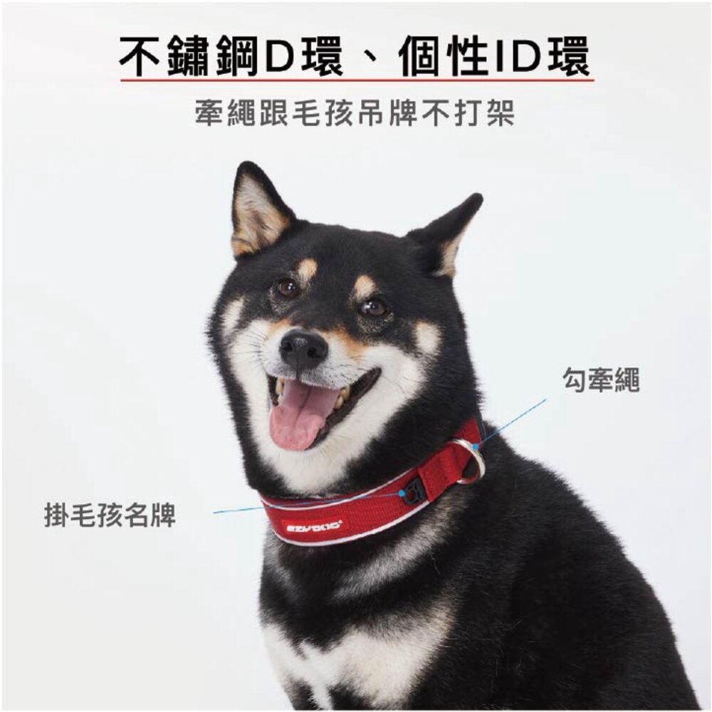EZYDOG 原創尼歐項圈 XS-XL號 戲水穿戴 好清洗 犬用 項圈 頸圈 狗項圈 外出用品『WANG』-圖片-4