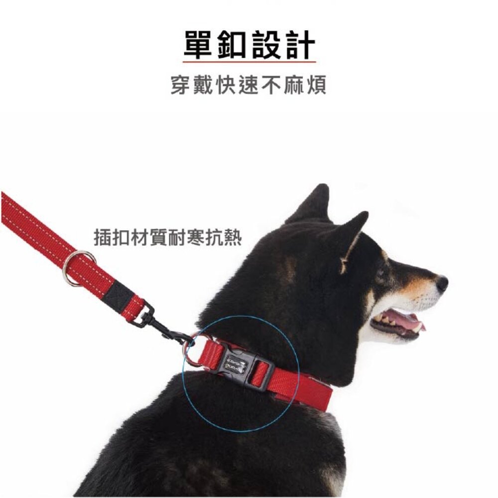 EZYDOG 原創尼歐項圈 XS-XL號 戲水穿戴 好清洗 犬用 項圈 頸圈 狗項圈 外出用品『WANG』-圖片-5