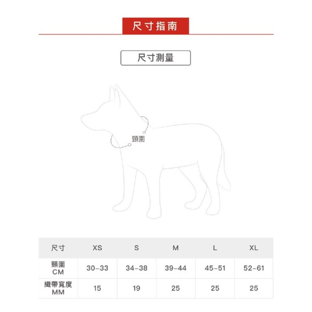 EZYDOG 原創尼歐項圈 XS-XL號 戲水穿戴 好清洗 犬用 項圈 頸圈 狗項圈 外出用品『WANG』-圖片-7