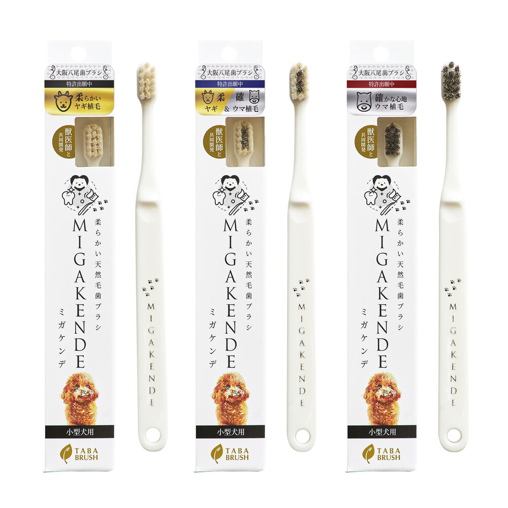 MIGAKENDE 敏齒樂 日本原裝進口寵物天然牙刷 軟毛牙刷 寵物牙刷 犬貓牙刷『WANG』-圖片-1