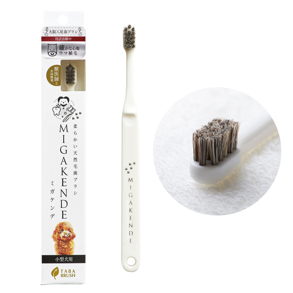 MIGAKENDE 敏齒樂 日本原裝進口寵物天然牙刷 軟毛牙刷 寵物牙刷 犬貓牙刷『WANG』-圖片-4