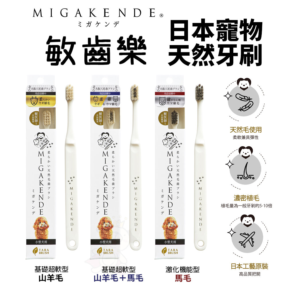 19782580377-MIGAKENDE 敏齒樂 日本原裝進口寵物天然牙刷 軟毛牙刷 寵物牙刷 犬貓牙刷『WANG』