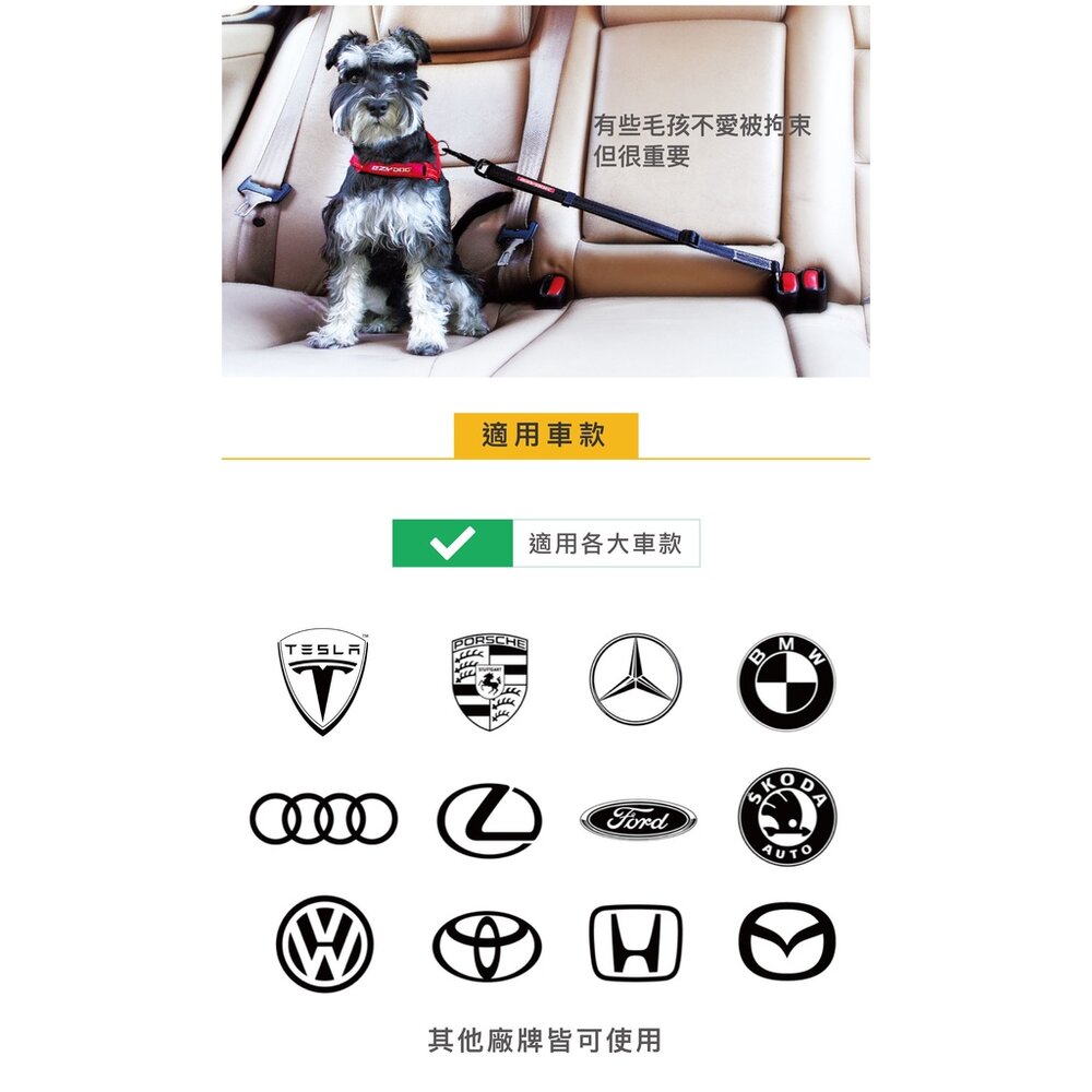 EZYDOG 寵物外出用品 寵物汽車安全帶 GO2寵物夜間多色警示燈 犬用『WANG』-圖片-4