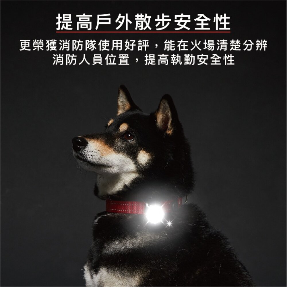 EZYDOG 寵物外出用品 寵物汽車安全帶 GO2寵物夜間多色警示燈 犬用『WANG』-圖片-6