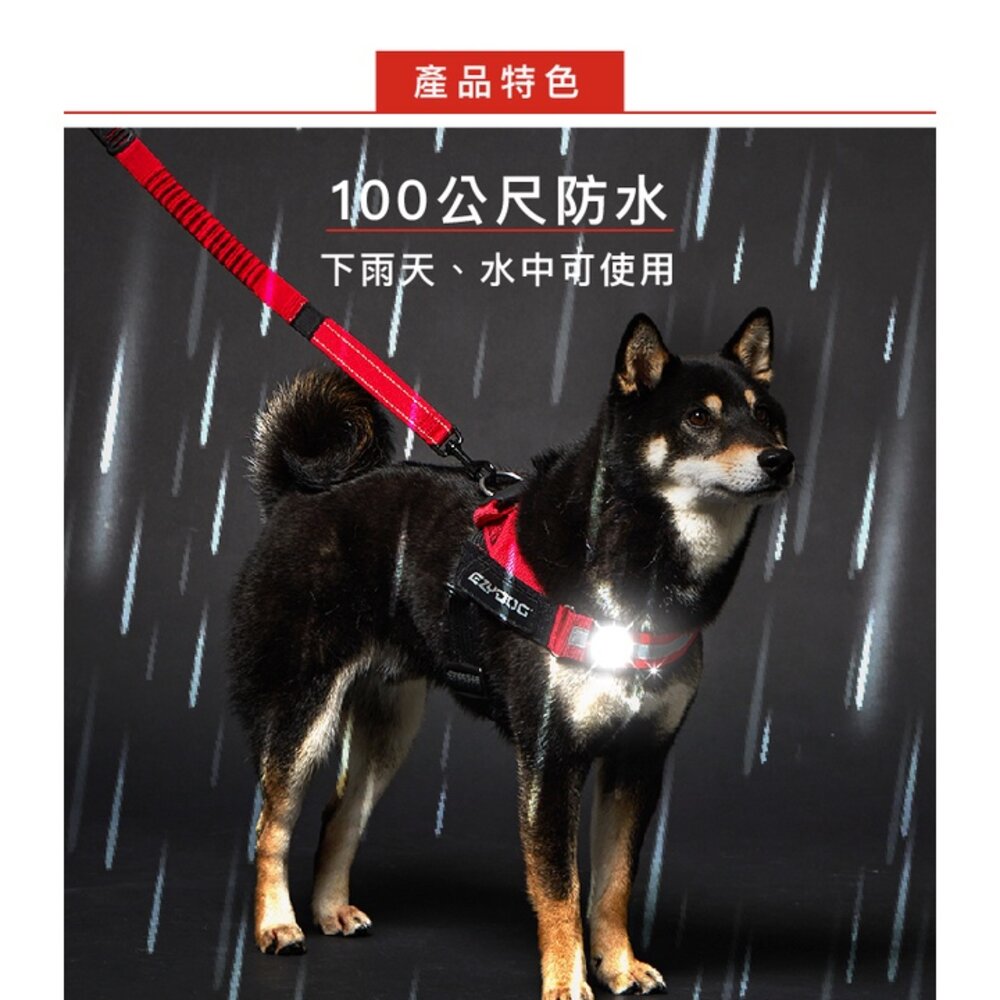 EZYDOG 寵物外出用品 寵物汽車安全帶 GO2寵物夜間多色警示燈 犬用『WANG』-圖片-8
