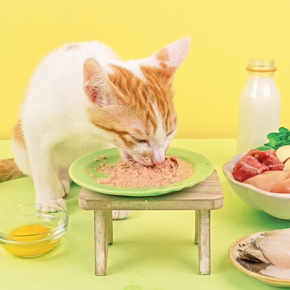 LitoMon 怪獸部落 貓咪主食貓罐【整箱出貨】寶寶罐 無膠罐 開胃慕斯主食罐 貓罐頭『WANG』-圖片-8