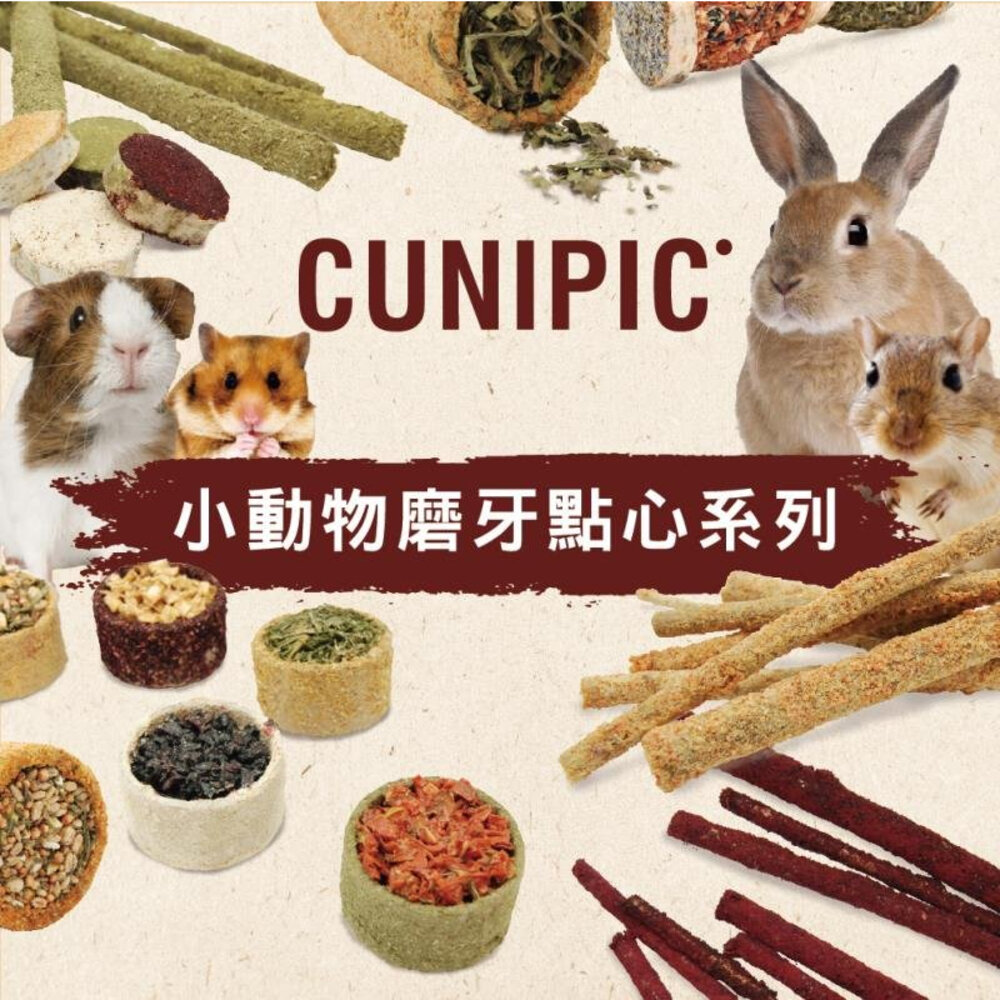 CUNIPIC 小動物磨牙餅 小動物磨牙點心棒 適合各種小動物啃食 小動物點心 小動物零食『WANG』-圖片-4