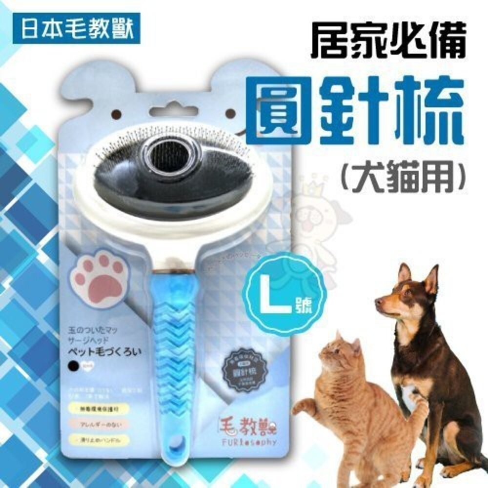 日本 毛教獸 居家必備 犬貓用 彎形指甲剪 梳毛/梳具/美容『WANG』-圖片-3