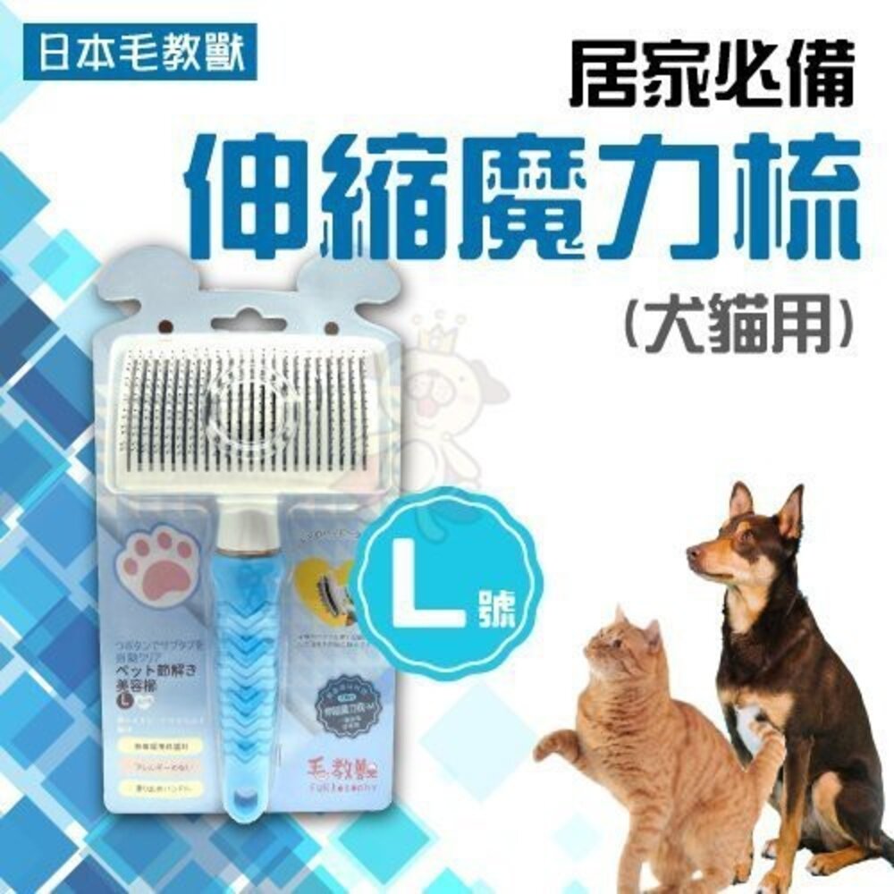 日本 毛教獸 居家必備 犬貓用 彎形指甲剪 梳毛/梳具/美容『WANG』-圖片-7