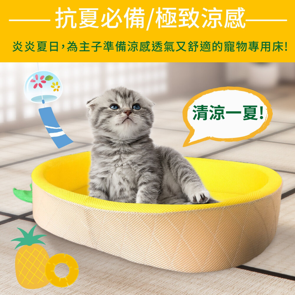 icat 寵喵樂 寵物透氣網四季專用 鳳梨 卡車睡床 寵物睡床 涼感床 睡覺 睡床 睡窩『WANG』-圖片-5