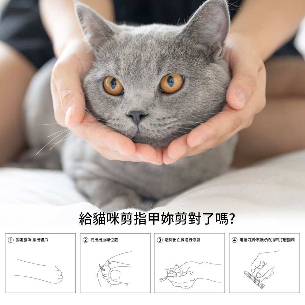 icat 寵喵樂 貓咪指甲剪 現貨 日本獸獸貓指甲剪 啵啵貓咪指甲剪 硬度升級 堅固耐用『WANG』-圖片-8