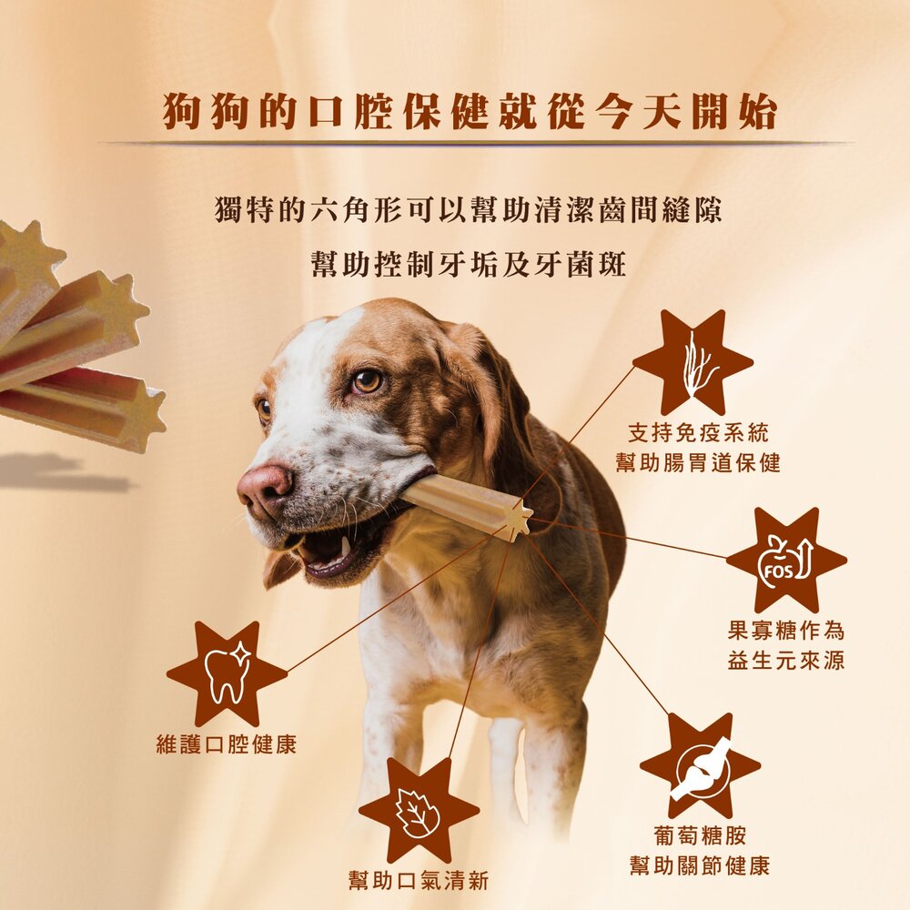 義大利 Farmina 法米納 犬用潔牙骨7支(60g) 天然亮毛 天然藜麥 天然處方系列 狗潔牙骨 狗零食『WANG』-圖片-5