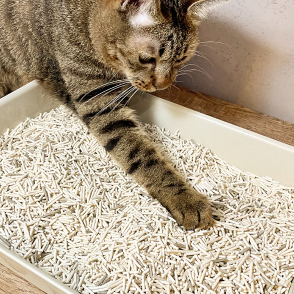 汪喵星球 益生菌消臭豆腐砂【六包免運】 米粒型/條型/花草砂 豆腐貓砂 汪喵星球豆腐砂『WANG』-圖片-4