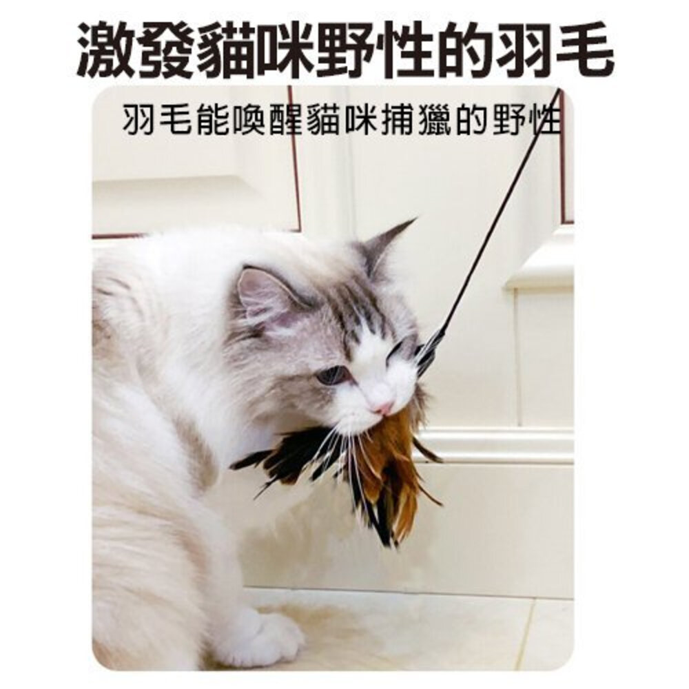 icat 寵喵樂 釣魚式鋼絲逗貓棒 羽毛款 木柄毛絨鈴鐺桶裝禮盒 伸縮式逗貓棒 逗貓棒『WANG』-圖片-6