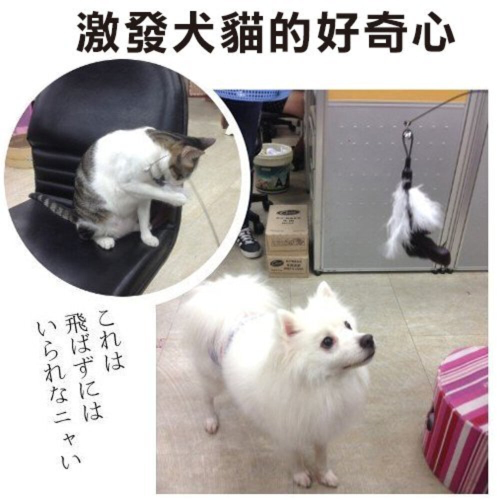 icat 寵喵樂 釣魚式鋼絲逗貓棒 羽毛款 木柄毛絨鈴鐺桶裝禮盒 伸縮式逗貓棒 逗貓棒『WANG』-圖片-7