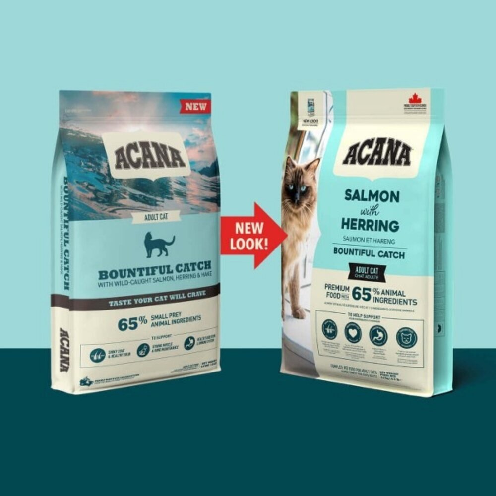 加拿大 ACANA 愛肯拿 貓糧 1.8kg-4.5kg 無穀 低穀 雞肉 多種魚 鴨肉『WANG』-圖片-8