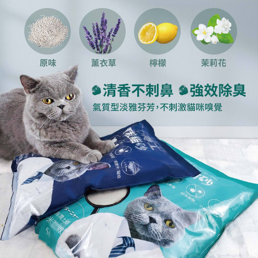 喵博士 0甲醛強效凝結除臭貓砂 5L 球砂款 小米粒款 膨潤土 強效凝結 除臭 0甲醛 貓砂『WANG』-圖片-7