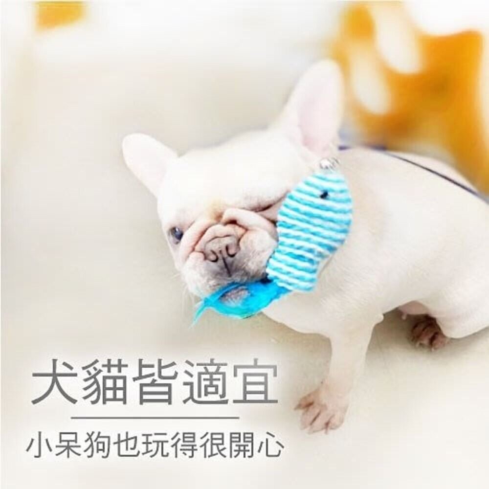 icat 寵喵樂 逗貓棒 竹桿長尾羽毛 竹桿藤球 黑桿鈴鐺毛球 木把伸縮桿 艷麗羽毛逗貓棒『WANG』-圖片-8