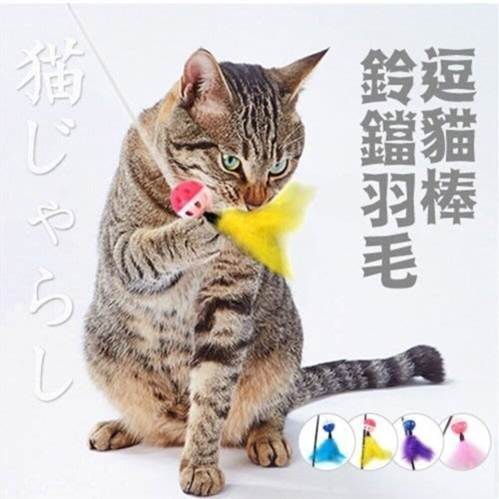 icat 寵喵樂 逗貓棒 竹桿長尾羽毛 竹桿藤球 黑桿鈴鐺毛球 木把伸縮桿 艷麗羽毛逗貓棒『WANG』-圖片-10