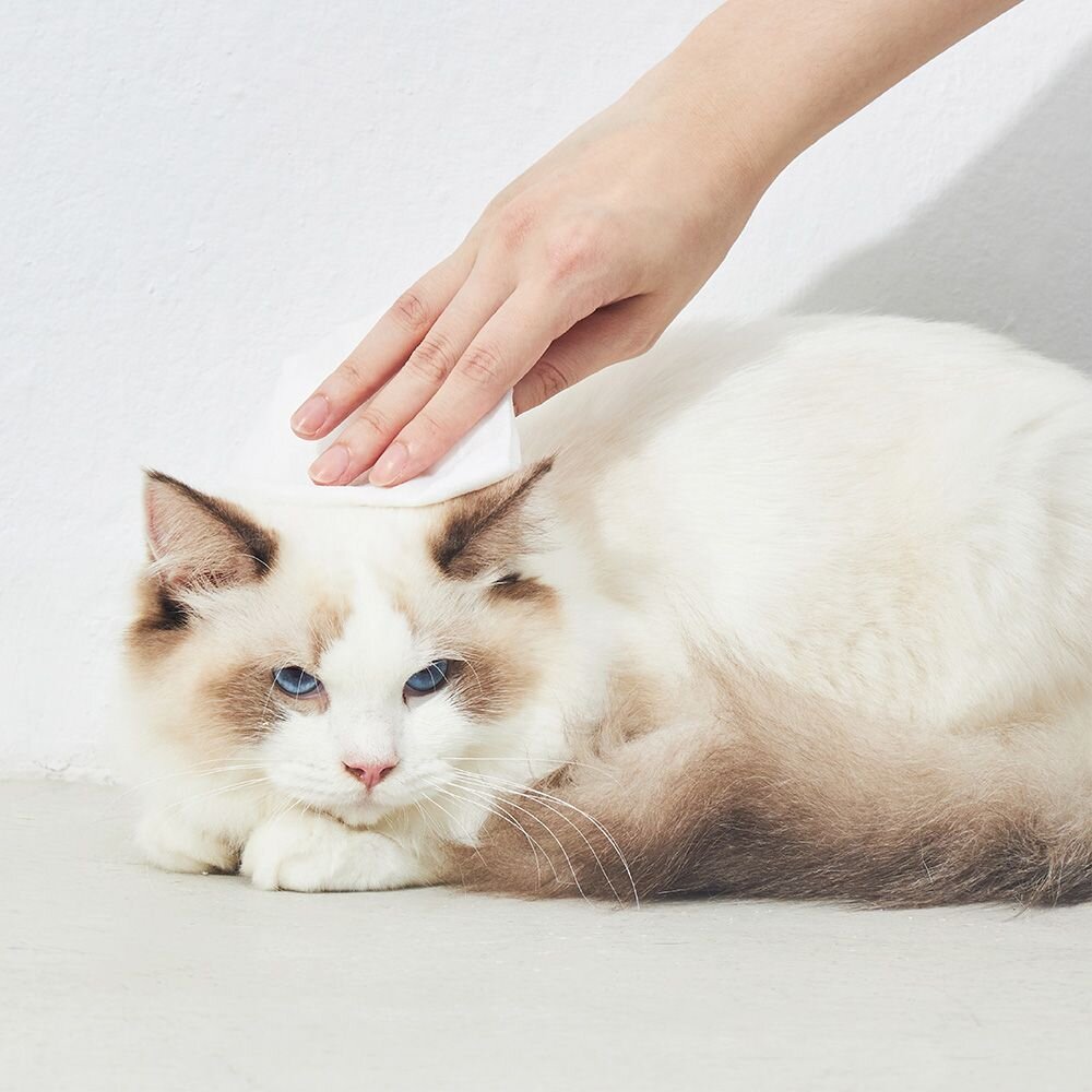 澳洲 LOGIN 洛格 3合一除臭抑菌護理濕紙巾 犬貓 8抽|50抽 隨手包 無酒精溫和不刺激 濕紙巾『WANG』-圖片-7