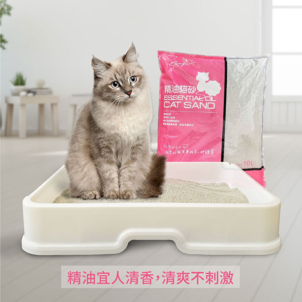 Jerry 精油貓砂 尤加利|海洋玫瑰 10L【3包組免運】 大/小球砂 無粉塵 凝結力超強『WANG』-圖片-8