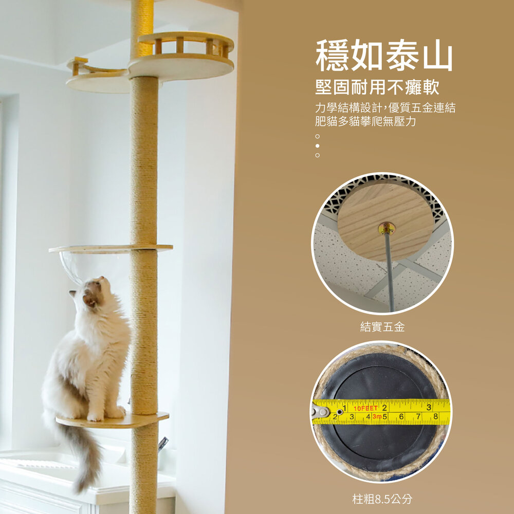 icat 寵喵樂 通天柱 【免運】特高特大台貓跳台 懸掛式觀景貓跳台 貓抓板 貓跳台『WANG』-圖片-5
